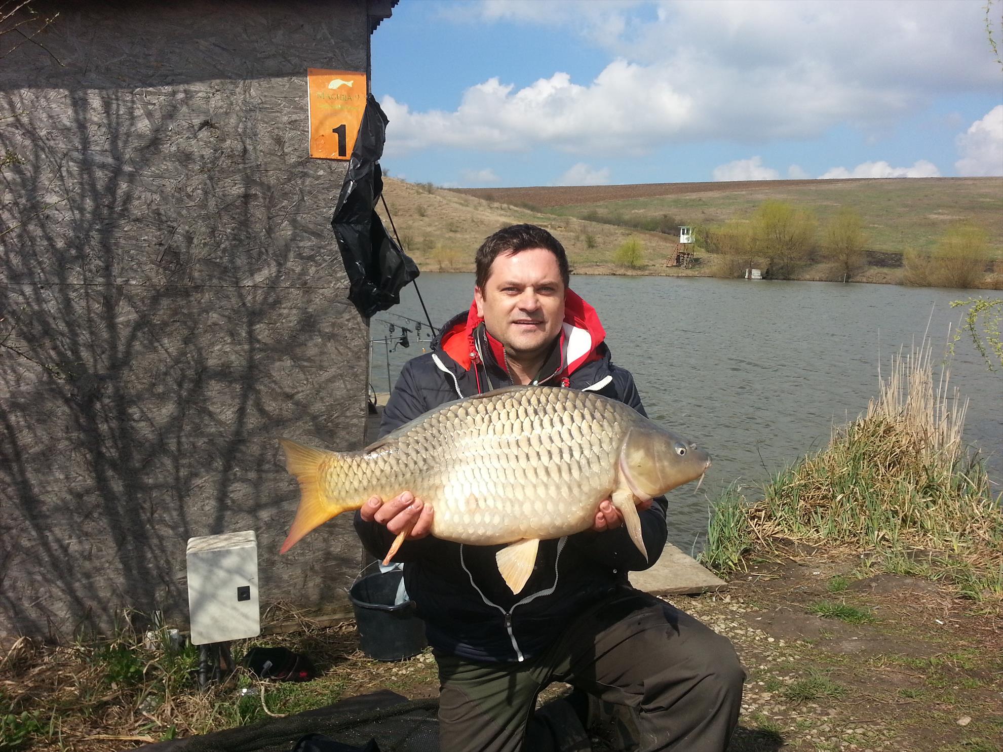 martie 2015 pe magura 9 - Un frumos crap de 9 kg